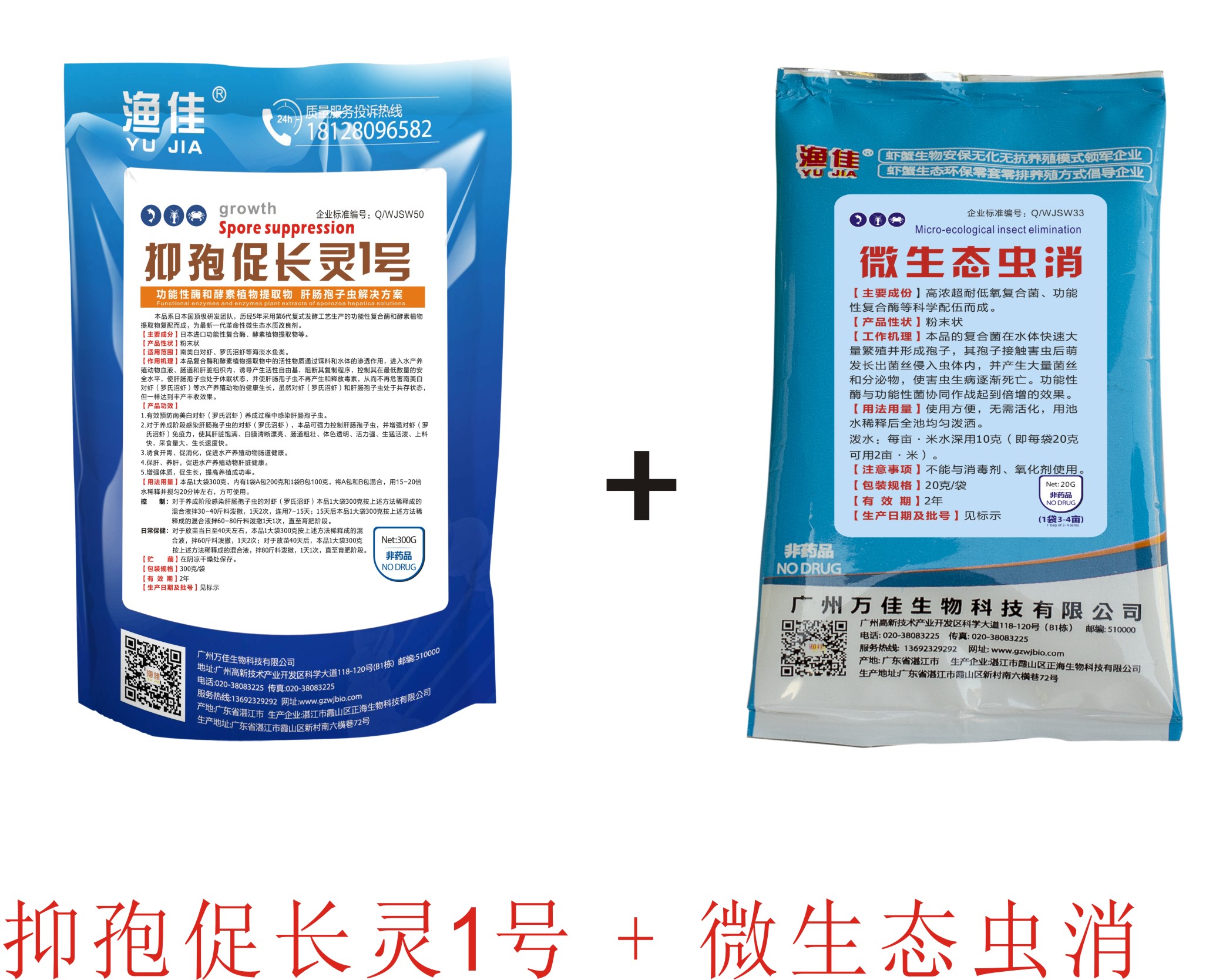 對(duì)蝦肝腸孢子蟲(chóng) 不用愁！