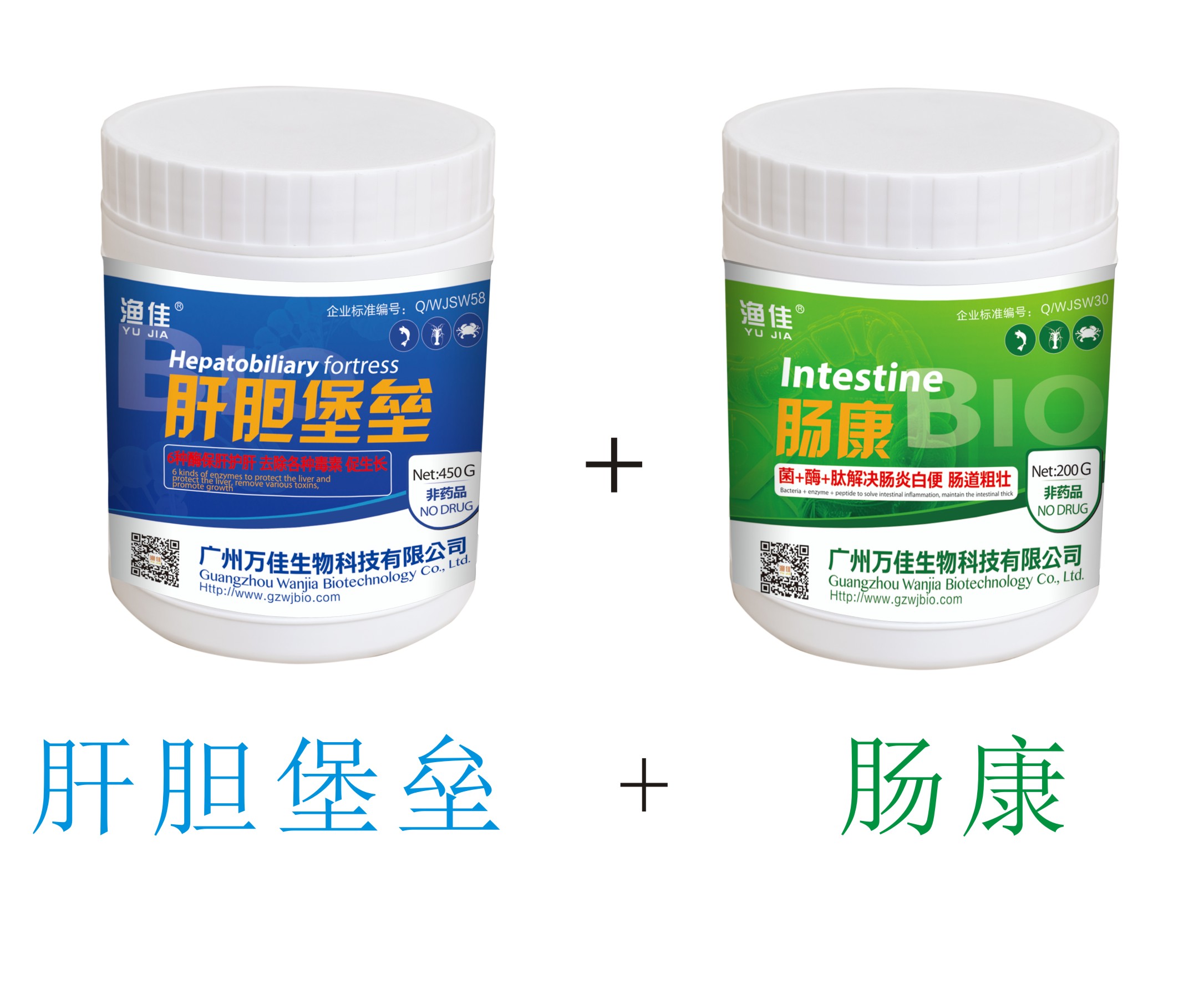 菌+酶+肽 保肝護(hù)腸！